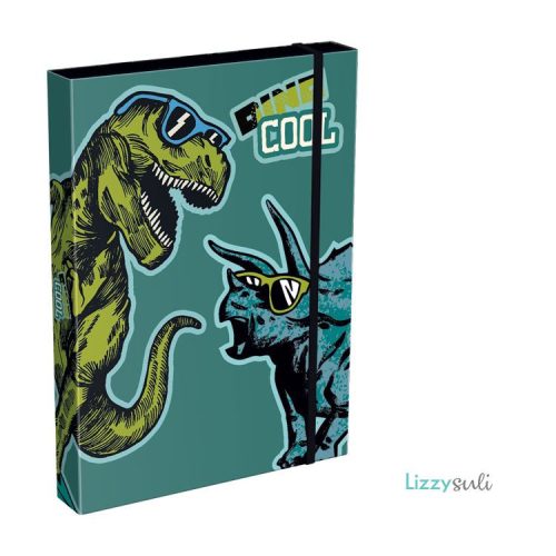 Dino Cool Füzetbox A/4