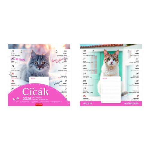 TopTimer Lemeznaptár Mágneses 22x22 cm Cicák 2026