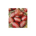 TopTimer Falinaptár 22x32 cm Hungary 2026