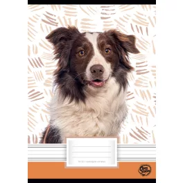 Optischool Füzet Tűzött A/5 14-32 1. Osztályos Dog