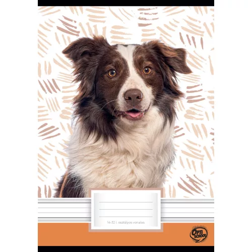 Optischool Füzet Tűzött A/5 14-32 1. Osztályos Dog