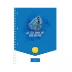 Ico Student Art Spirálfüzet Sima 70 Lap A/4