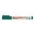 Edding 21 Ecoline Permanent Marker Zöld D10