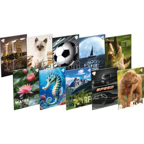T-Creativ Füzet Tűzött A/5 20-60 60 Lapos Sima Vegyes Mintákban