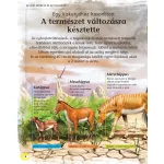 Napraforgó A Lovak Enciklopédiája