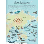 Napraforgó Atlasz Az Óceánokról