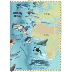 Napraforgó Atlasz Az Óceánokról