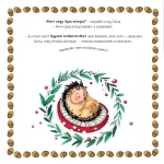 Napraforgó Érzelmek Erdeje 2. - Ég Veled Irigység Szia Önbizalom