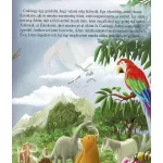 Napraforgó Mesélő Biblia