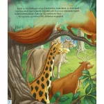 Napraforgó Mesélő Biblia