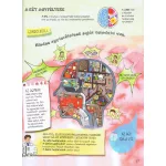 Napraforgó Szórakoztató Tudomány - Az Emberi Test Csodája