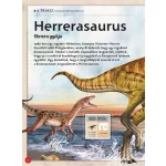 Napraforgó Varázslatos Útmutató A Dinoszauruszokhoz