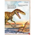 Napraforgó Varázslatos Útmutató A Dinoszauruszokhoz