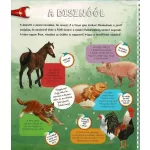 Napraforgó Zseblámpával - A Tanyán