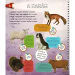 Napraforgó Zseblámpával - A Tanyán