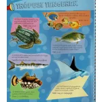 Napraforgó Zseblámpával - A Tenger Alatt