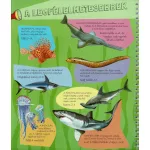 Napraforgó Zseblámpával - A Tenger Alatt