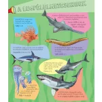 Napraforgó Zseblámpával - A Tenger Alatt