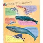 Napraforgó Zseblámpával - A Tenger Alatt