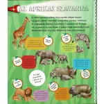 Napraforgó Zseblámpával - Az Állatkölykök Nyomában