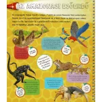 Napraforgó Zseblámpával - Az Állatkölykök Nyomában