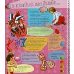 Napraforgó Zseblámpával - Az Emberi Testben