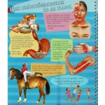 Napraforgó Zseblámpával - Az Emberi Testben