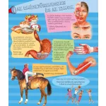 Napraforgó Zseblámpával - Az Emberi Testben