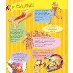 Napraforgó Zseblámpával - Az Emberi Testben