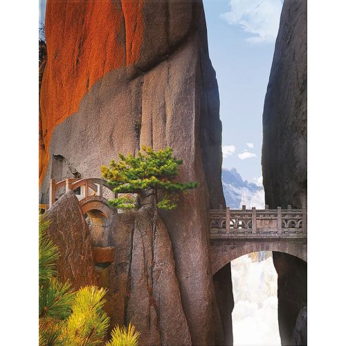 Tushita B5 Blanko Mountain Bridge