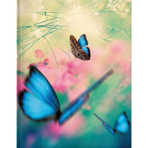 Tushita B5 Blanko Butterflies