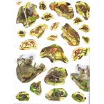 1000 Állat Matricája - Fehér