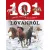 101 dolog, amit jó, ha tudsz a lovakról