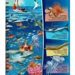 Nagyítóval - A tenger alatt