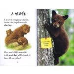 Olvass velünk! (1) - A medvék világa