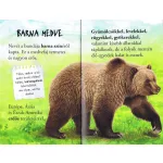Olvass velünk! (1) - A medvék világa