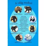 Olvass velünk! (1) - A medvék világa