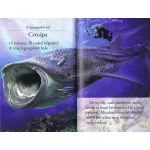 Olvass velünk! (2) - A cápák világa