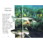 Olvass velünk! (2) - A cápák világa