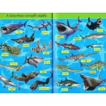 Olvass velünk! (2) - A cápák világa