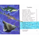 Olvass velünk! (2) - A cápák világa
