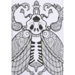 Kifestőfüzet felnőtteknek Csodálatos minták