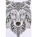 Kifestőfüzet felnőtteknek Csodálatos minták