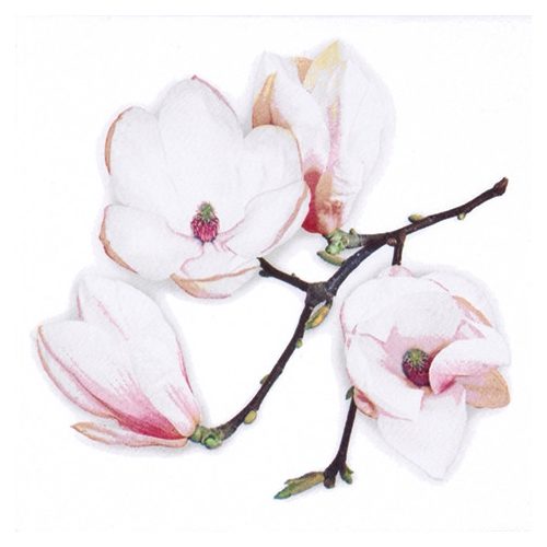 Ti-Flair Szalvéta 33 x 33 cm 3 Rétegű 20 lap/Csomag  White Magnolia white