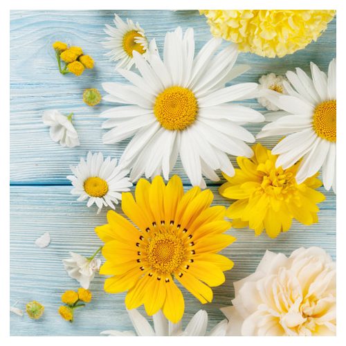 Ti-Flair Szalvéta 33x33 cm 3 Rétegű 20 Lap/Csomag Brillantes Flores De Jardin