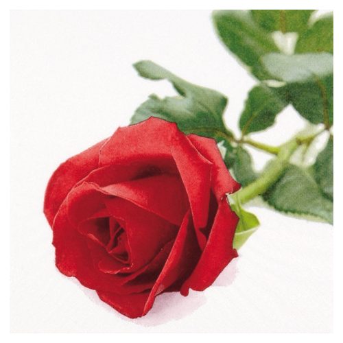 Ti-Flair Szalvéta 33 x 33 cm 3 Rétegű 20 lap/Csomag  Rosa Nobile