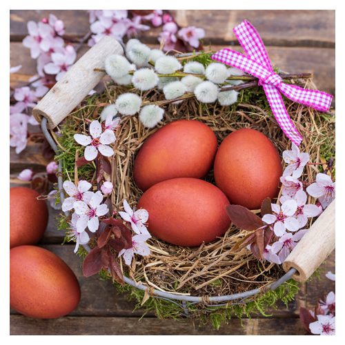 Ti-Flair Szalvéta 33 x 33 cm 3 Rétegű 20 lap/Csomag  Nido de Pascua