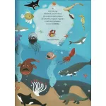 Böngéssz És Számolj A Tenger Állatai