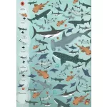 Böngéssz És Számolj A Tenger Állatai