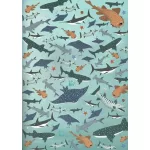 Böngéssz És Számolj A Tenger Állatai